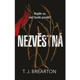 Nezvěstná - Brearton T. J.