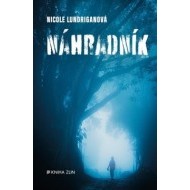 Náhradník - cena, porovnanie