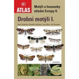 Drobní motýli I.