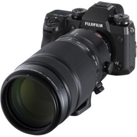 Fujifilm X-H1 + XF 100-400mm