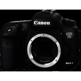 Canon EOS 7D Mark II + EF 50 STM