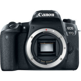 Canon EOS 77D + EF 50 STM