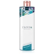 Exotiq Body To Body Oil 500ml - cena, porovnanie