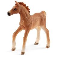 Schleich 42361 Hříbě s přikrývkou - cena, porovnanie