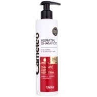 Delia Cameleo BB keratínový šampón pre farbené a melírované vlasy 250ml - cena, porovnanie