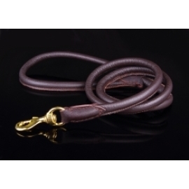 Zooleszcz Round Leash Brass