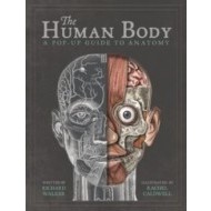 The Human Body - cena, porovnanie