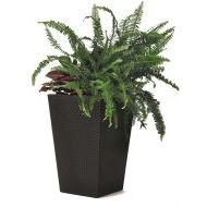 Keter Rattan Planter L - cena, porovnanie