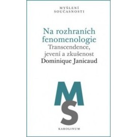 Na rozhraních fenomenologie Transcendence, jevení a zkušenost