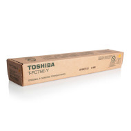 Toshiba T-FC75EY - cena, porovnanie