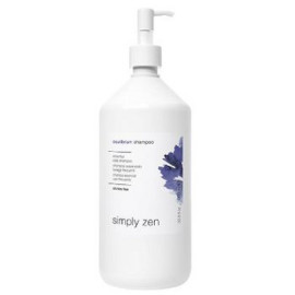 Z.One Concept Simply Zen Equilibrium Shampoo 1000ml