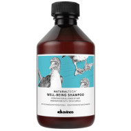 Davines Naturaltech Well Being Shampoo 250ml - cena, porovnanie