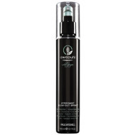 Paul Mitchell Awapuhi Wild Ginger Hydromist Blow Out Spray 150ml - cena, porovnanie