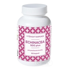 NaturVita Echinacea 500 plus 60tbl