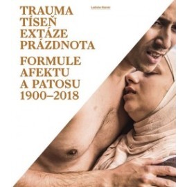 Trauma, tíseň, extáze, prázdnota