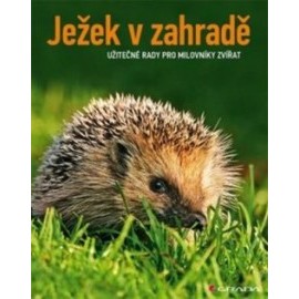 Ježek v zahradě