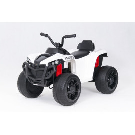 Tbk ATV Roadster