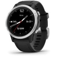 Garmin Fenix 6S Glass - cena, porovnanie