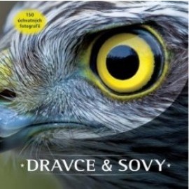 Dravce a sovy