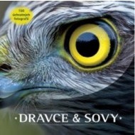 Dravce a sovy - cena, porovnanie