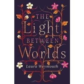 The Light Between Worlds