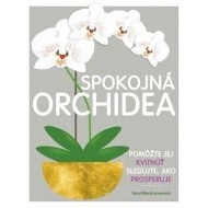 Spokojná orchidea - cena, porovnanie