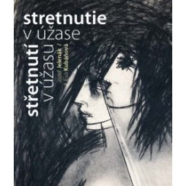 Stretnutie v úžase