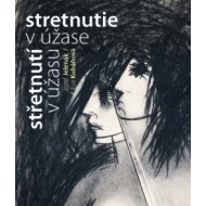 Stretnutie v úžase - cena, porovnanie