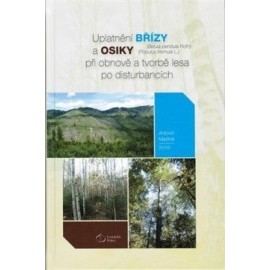 Uplatnění břízy a osiky při obnově a tvorbě lesa po disturbancích