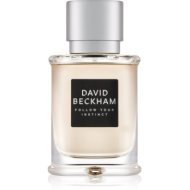 David Beckham Follow Your Instinct 50ml - cena, porovnanie