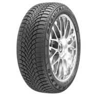 Maxxis WP6 195/65 R15 95T - cena, porovnanie