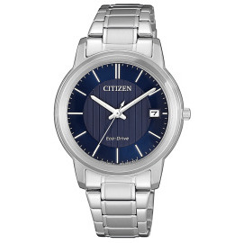 Citizen FE6011