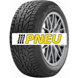 Riken Snow 225/60 R17 103V