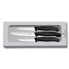 Victorinox SwissClassic 6.7113.3G