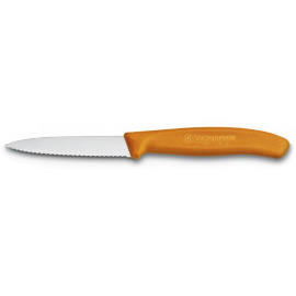 Victorinox SwissClassic 6.7636.L119