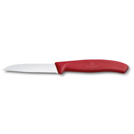 Victorinox SwissClassic 6.7431