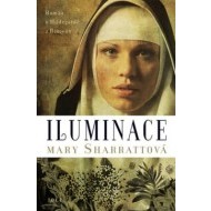 Iluminace - Román o Hildegardě z Bingenu - cena, porovnanie