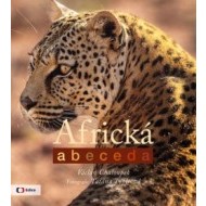 Africká abeceda - cena, porovnanie