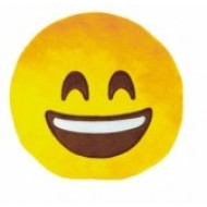Aldo Vankúš smajlík Emoji - cena, porovnanie
