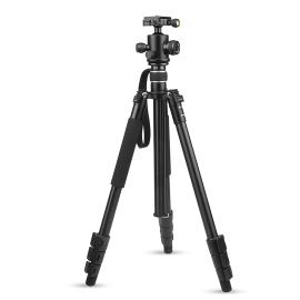 Shoot Golem XT-439