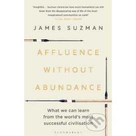 Affluence Without Abundance