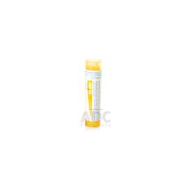 Boiron Hyoscyamus Niger CH30 4g