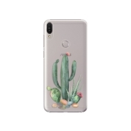 iSaprio Cacti 02 Asus Zenfone Max Pro ZB602KL - cena, porovnanie
