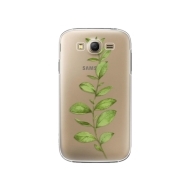 iSaprio Green Plant 01 Samsung Galaxy Grand Neo Plus - cena, porovnanie