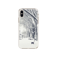iSaprio Snow Park Apple iPhone XS - cena, porovnanie