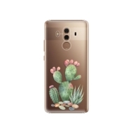iSaprio Cacti 01 Huawei Mate 10 Pro - cena, porovnanie