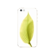 iSaprio Green Leaf Apple iPhone 5/5S/SE - cena, porovnanie