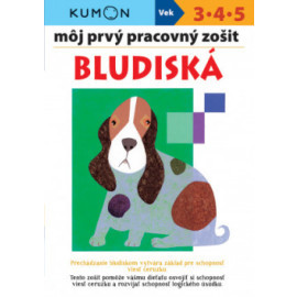 Bludiská - Môj prvý pracovný zošit