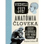 Vedeli ste? Anatómia človeka - cena, porovnanie