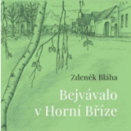 Bejvávalo v Horní Bříze - cena, porovnanie